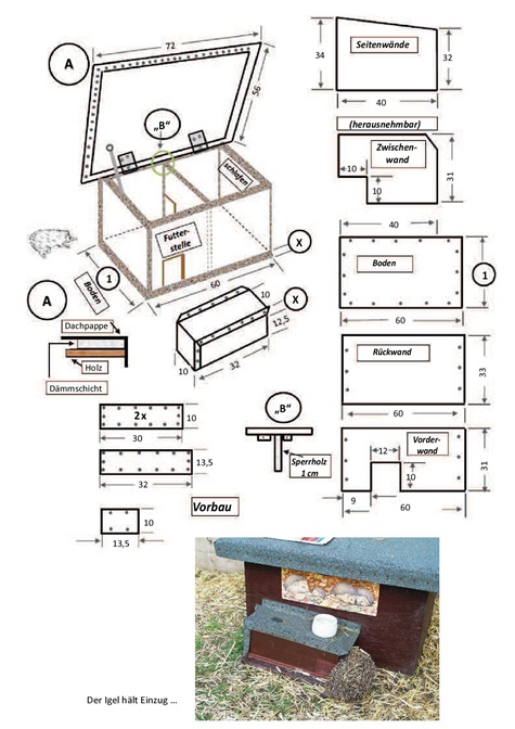 Bauplan