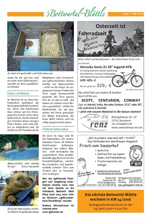 Zeitungsartikel 7