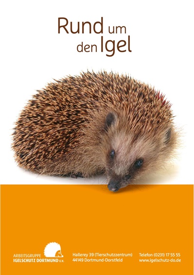 Broschüre