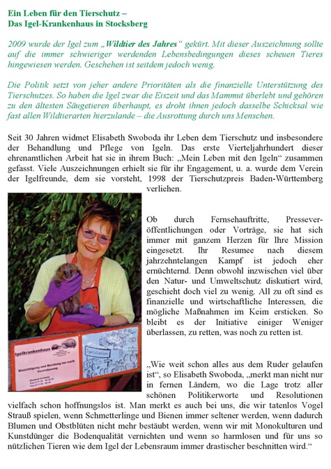 Zeitungsartikel 5