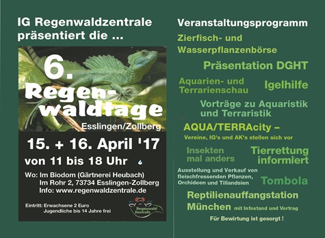 Regenwaldtage 2017